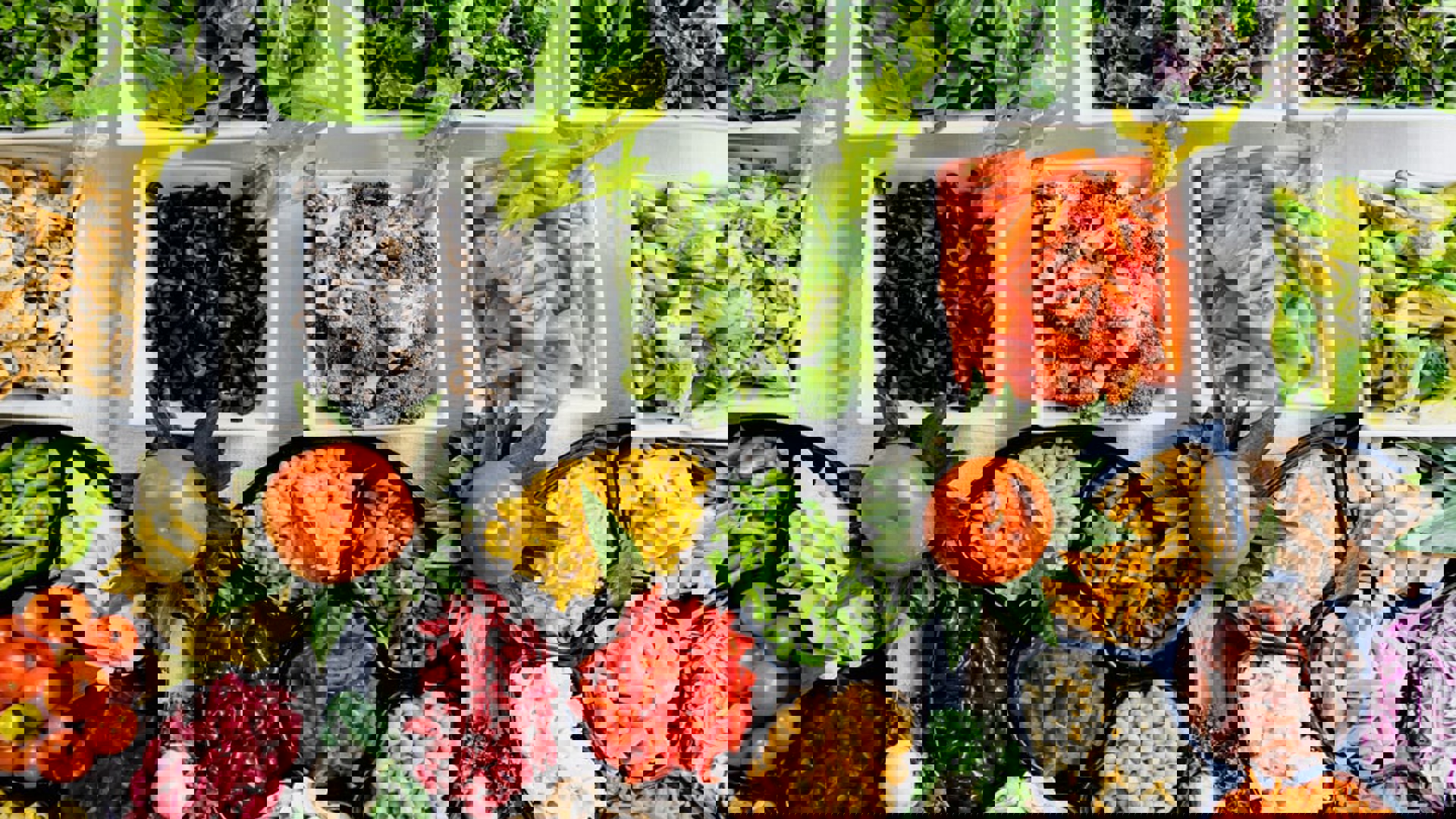 Healthy Food Ingredients